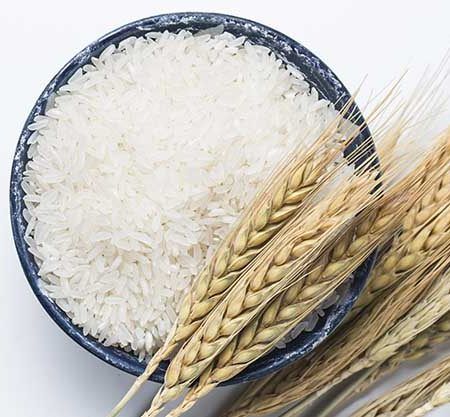 Arroz